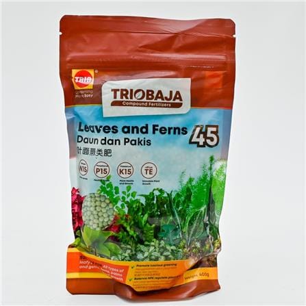 TRIOBAJA 45 LEAVES&FERN TRIO TF002 400GM
