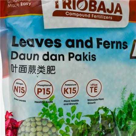 TRIOBAJA 45 LEAVES&FERN TRIO TF002 400GM