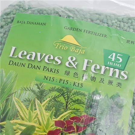 TRIOBAJA 45 LEAVES&FERN TRIO TF007 1KG