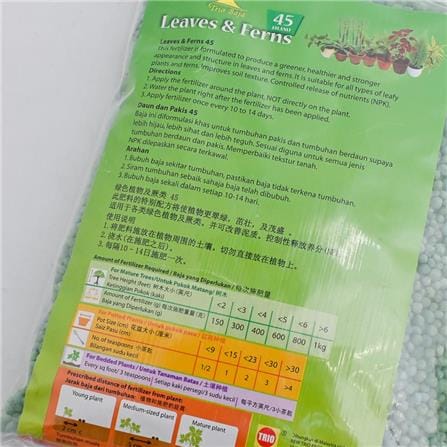 TRIOBAJA 45 LEAVES&FERN TRIO TF007 1KG