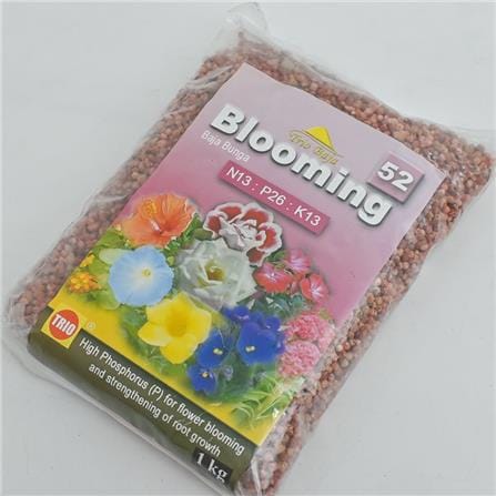 TRIOBAJA 52 BLOOMING TRIO TF010 1KG