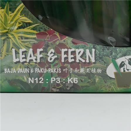 TRIOBAJA TUBE LEAF & FERN TRIO TF051