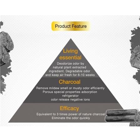 FARCENT SHOE CUPBOARD DEODORIZER CHARCOAL 2X60G