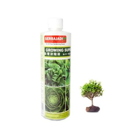 FOLIAR GROWING SUPREME SB F26 500 ML