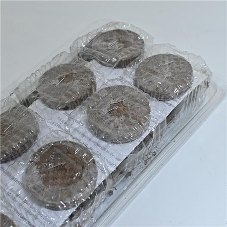 SERBAJADI VEGETABLE GROWING KIT