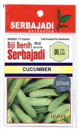 BAJA SERBAJADI CUCUMBER VEGETABLE SEED BBS003 1GM