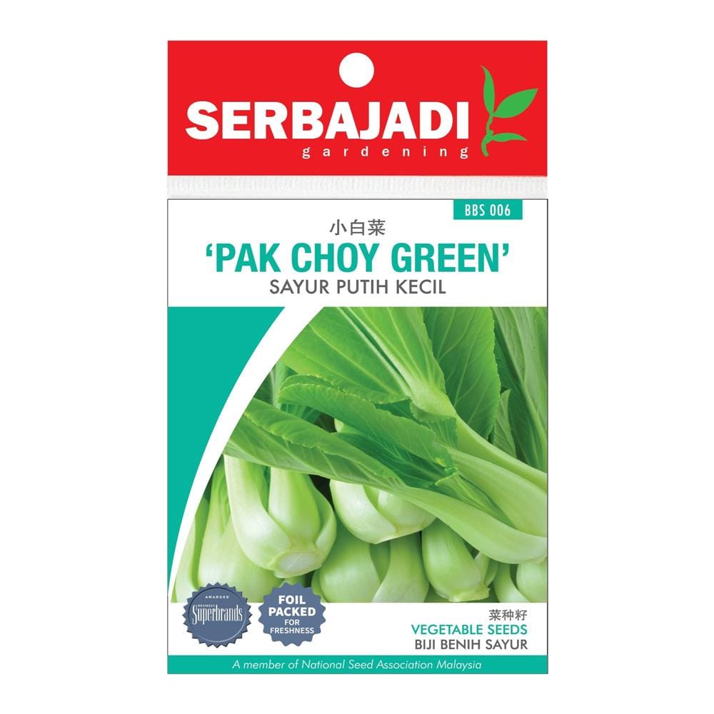 BAJA SERBAJADI PAK CHOY GREEN VEGETABLE SEED BBS006 1GM