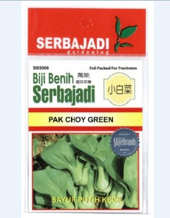 BAJA SERBAJADI PAK CHOY GREEN VEGETABLE SEED BBS006 1GM
