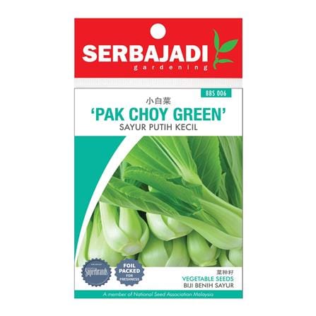 BAJA SERBAJADI PAK CHOY GREEN VEGETABLE SEED BBS006 1GM