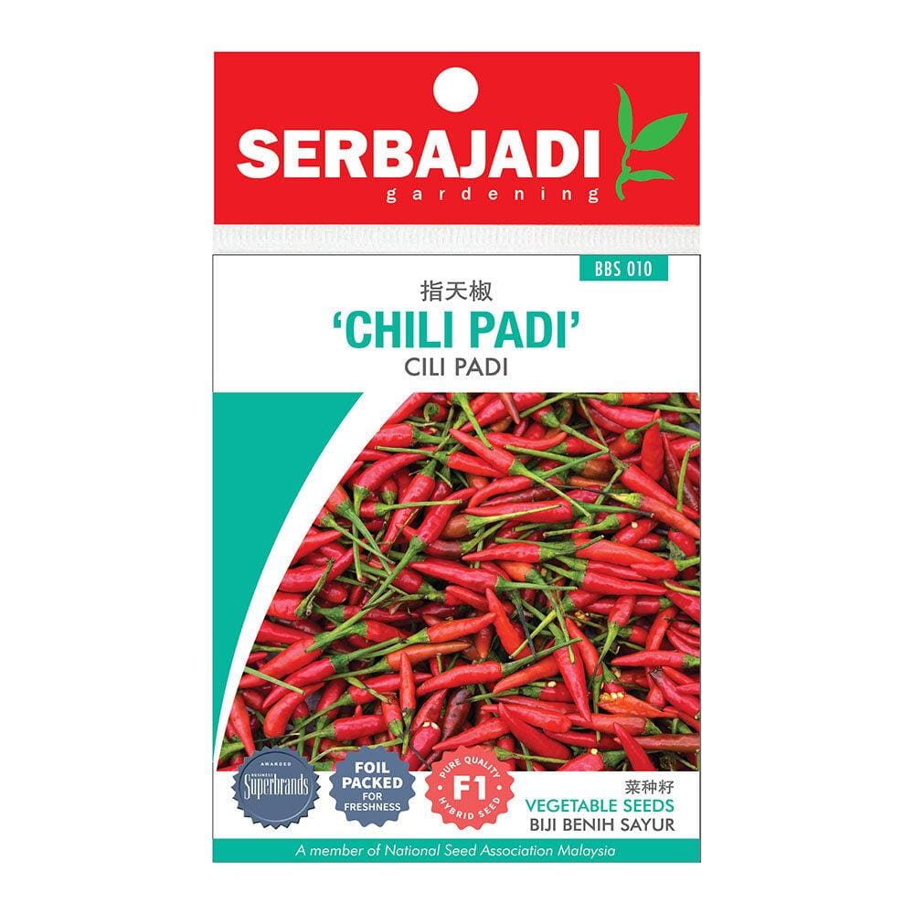 BAJA SERBAJADI CHILI PADI VEGETABLE SEED BBS010 1GM