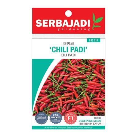 BAJA SERBAJADI CHILI PADI VEGETABLE SEED BBS010 1GM