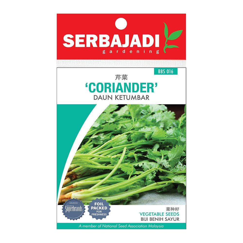 BAJA SERBAJADI CORIANDER VEGETABLE SEED BBS016 1GM