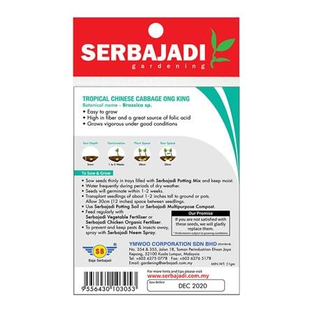 BAJA SERBAJADI TROPICAL CHINESE CABBAGE ONE KING VEGETABLE SEED BBS018 1GM