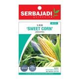 BAJA SERBAJADI SWEET CORN VEGETABLE SEED BBS019 1GM