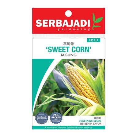 BAJA SERBAJADI SWEET CORN VEGETABLE SEED BBS019 1GM