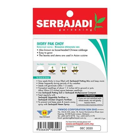 BAJA SERBAJADI IVORY PAK CHOY VEGETABLE SEED BBS020 1GM