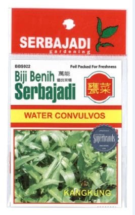 BAJA SERBAJADI WATER CONVOLVULUS VEGETABLE SEED