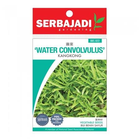 BAJA SERBAJADI WATER CONVOLVULUS VEGETABLE SEED