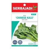 BAJA SERBAJADI CHINESE KALE VEGETABLE SEED BBS023 1GM