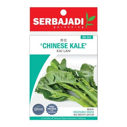 BAJA SERBAJADI CHINESE KALE VEGETABLE SEED BBS023 1GM