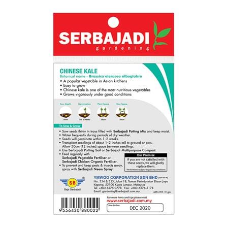 BAJA SERBAJADI CHINESE KALE VEGETABLE SEED BBS023 1GM