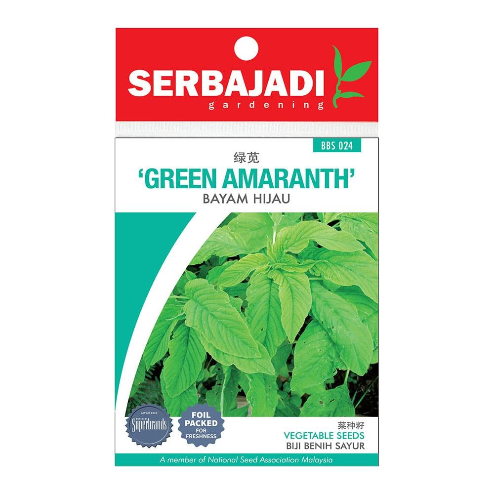 BAJA SERBAJADI GREEN AMARANTH VEGETABLE SEED BBS024 1GM
