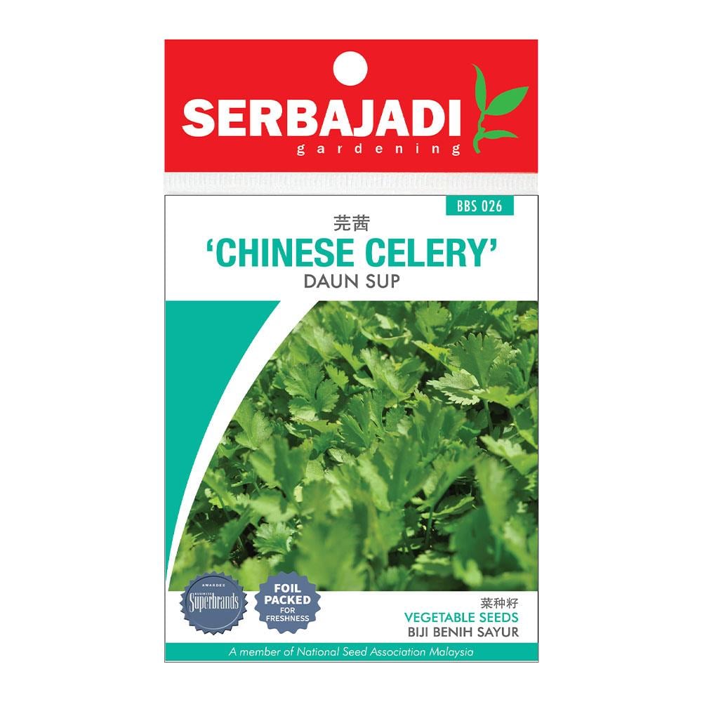 BAJA SERBAJADI CHINESE CELERY VEGETABLE SEED BBS026 1GM