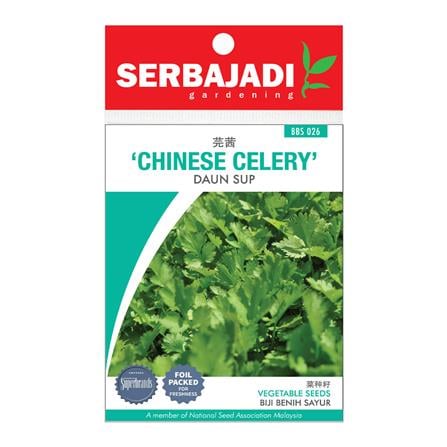 BAJA SERBAJADI CHINESE CELERY VEGETABLE SEED BBS026 1GM