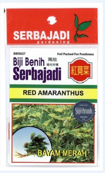 BAJA SERBAJADI RED AMARANTH VEGETABLE SEED BBS027 1GM