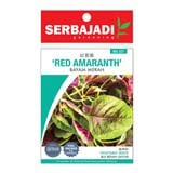 BAJA SERBAJADI RED AMARANTH VEGETABLE SEED BBS027 1GM
