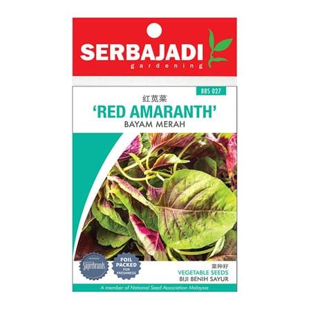 BAJA SERBAJADI RED AMARANTH VEGETABLE SEED BBS027 1GM