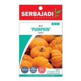 BAJA SERBAJADI PUMPKIN VEGETABLE SEED BBS035 1GM