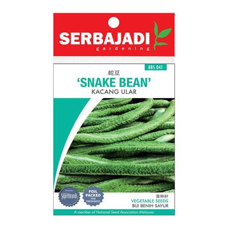 BAJA SERBAJADI SNAKE BEAN VEGETABLE SEED BBS041 1GM