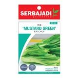 BAJA SERBAJADI MUSTARD GREEN VEGETABLE SEED BBS042 1GM