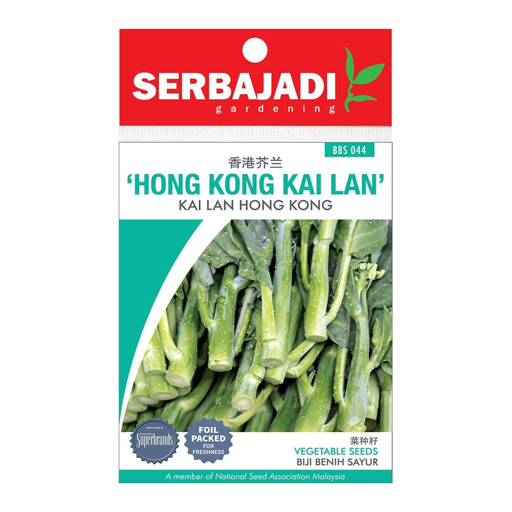 BAJA SERBAJADI HONG KONG KAI LAN BBS044 1GM