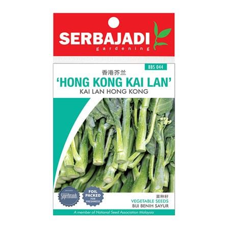 BAJA SERBAJADI HONG KONG KAI LAN BBS044 1GM