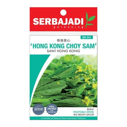 BAJA SERBAJADI LETTUCE FIRE RED VEGETABLE SEED BBS046 1GM