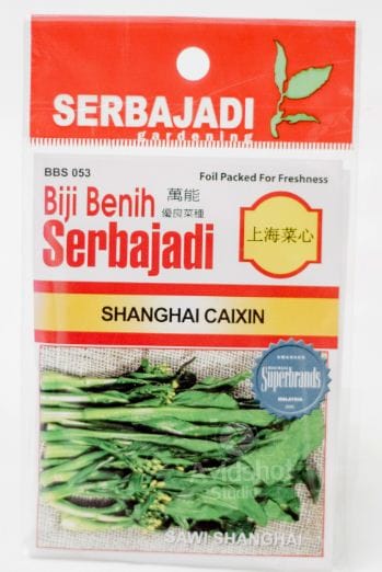 BAJA SERBAJADI SHANGHAI CAIXIN VEGETABLE SEED BBS053 1GM