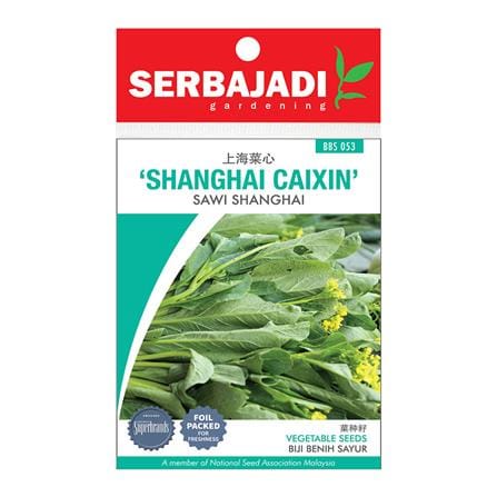 BAJA SERBAJADI SHANGHAI CAIXIN VEGETABLE SEED BBS053 1GM