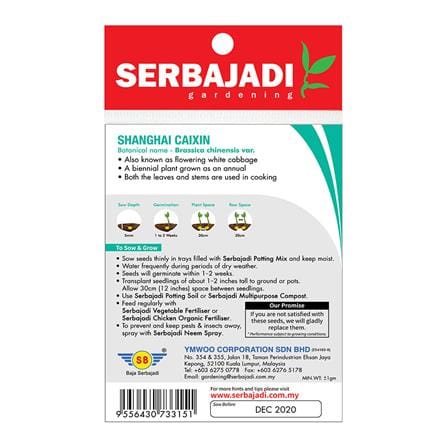 BAJA SERBAJADI SHANGHAI CAIXIN VEGETABLE SEED BBS053 1GM