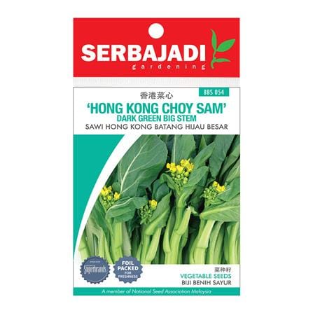 BAJA SERBAJADI HONG KONG CHOY SUM DARK GREEN BIG STEM VEGETABLE SEED BBS054 1GM
