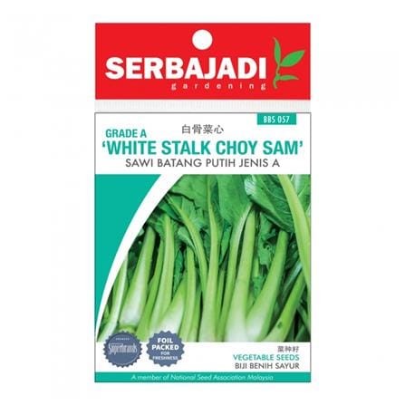 BAJA SERBAJADI WHITE STALK CHOY SUM VEGETABLE SEED BBS057 1GM