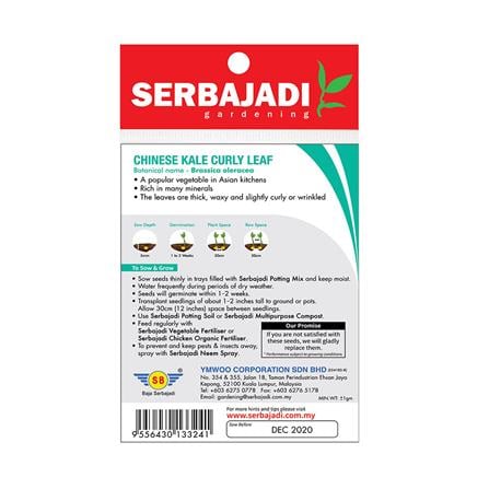 BAJA SERBAJADI CHINESE KALE CURLY LEAF GRADE B VEGETABLE SEED BBS059 1GM