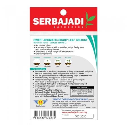 BAJA SERBAJADI SWEET AROMATIC SHARP LEAF CELTUCE VEGETABLE SEED BBS064 1GM
