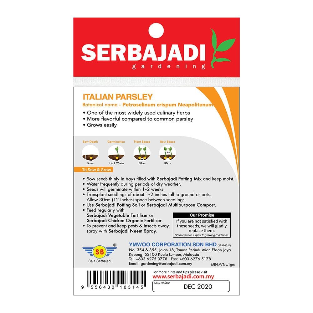 BAJA SERBAJADI ITALIAN PARSLEY HERB SEED HS01 1GM