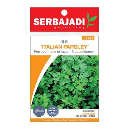 BAJA SERBAJADI ITALIAN PARSLEY HERB SEED HS01 1GM