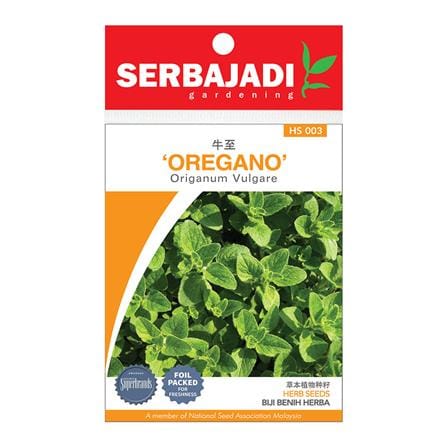 BAJA SERBAJADI OREGANO HERB SEED HS03 1GM