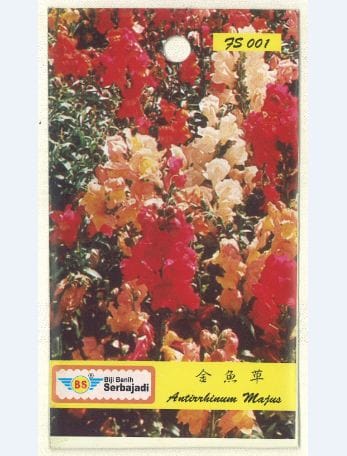 BAJA SERBAJADI SNAPDRAGON, ANTIRRHINUM MAJUS FLOWER SEED FS001 1GM