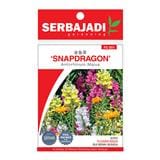 BAJA SERBAJADI SNAPDRAGON, ANTIRRHINUM MAJUS FLOWER SEED FS001 1GM