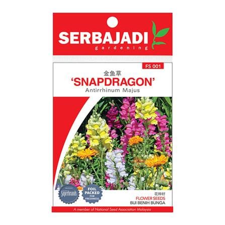 BAJA SERBAJADI SNAPDRAGON, ANTIRRHINUM MAJUS FLOWER SEED FS001 1GM